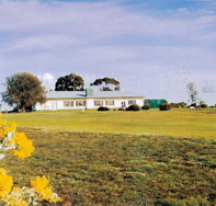 Lucindale Country Club - C Tourism