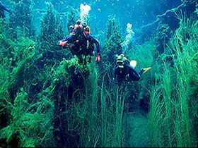Ewens Ponds Conservation Park - C Tourism 0