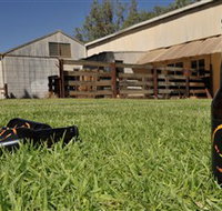 Wilkadene Woolshed Brewery - C Tourism