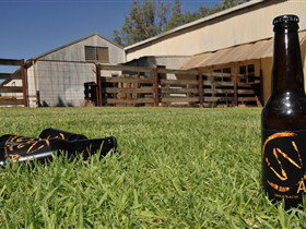 Wilkadene, Woolshed Brewery - C Tourism 0