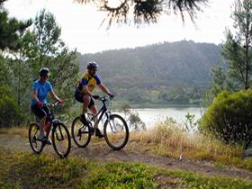 Mount Gambier Crater Lakes Mountain Bike Trail - C Tourism 0