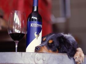 Koonara Wines - C Tourism 0