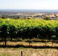 Braydun Hill Vineyard - C Tourism