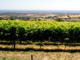 Braydun Hill Vineyard - C Tourism 0