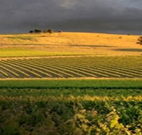 Kellermeister Wines - C Tourism