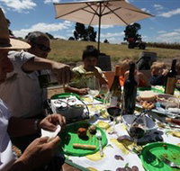 God's Hill Wines - C Tourism