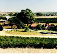 Irvine Wines - C Tourism