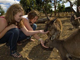 Seddon SA C Tourism