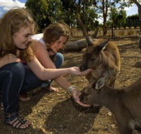 Kangaroo Island Wildlife Park - C Tourism