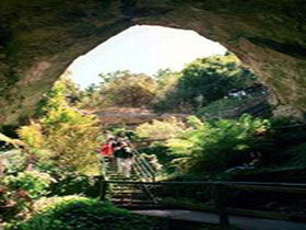 Engelbrecht Cave - C Tourism 0