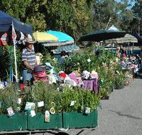 Meadows Monthly Market - C Tourism