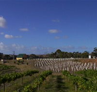 Deep Creek Wines and Alpacas - C Tourism