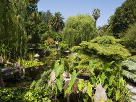 Adelaide Himeji Garden - C Tourism 0