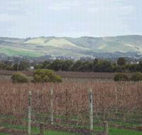 Mclaren Vale Premium Wines - C Tourism