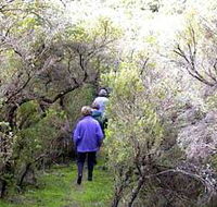 Jack And Hilda McArthur Walk - C Tourism