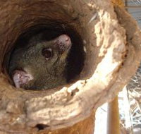 Mulga Sanctuary and Wildlife Park - C Tourism