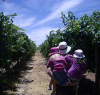 McLaren Vale Orchards - C Tourism