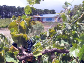 Zimmermann Wine - C Tourism 0