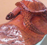 Ants Redgum Gallery - C Tourism