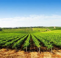 Aldinga Bay Winery - C Tourism