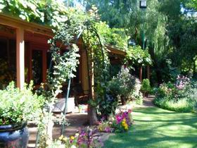 Rainforest Retreat - C Tourism 0