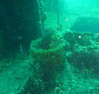 Wallaroo Scuba Club - C Tourism