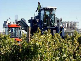 Ballast Stone Estate Wines Pty Ltd - C Tourism 0