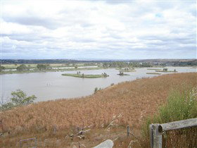 Sunnyside Reserve Lookout - C Tourism 0