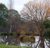 Gemtree Wetlands Ecotrail - C Tourism