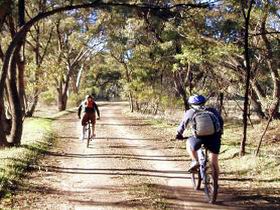 Bike About Mountain Bike Tours And Hire - C Tourism 0