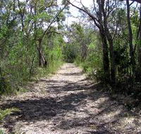 Wendy's Walk - C Tourism