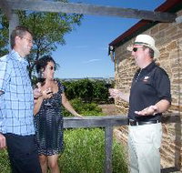 Shingleback Wine Cellar Door - C Tourism