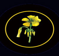 Battle of Bosworth Wines - C Tourism