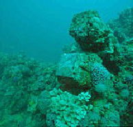 Adelaide's Underwater Heritage Trail - C Tourism