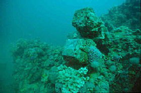 Adelaide's Underwater Heritage Trail - C Tourism 0
