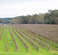 Dennis Wines - C Tourism
