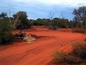 Tallaringa Conservation Park - C Tourism 0