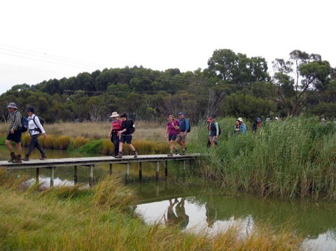 Lavender Federation Trail - C Tourism 1