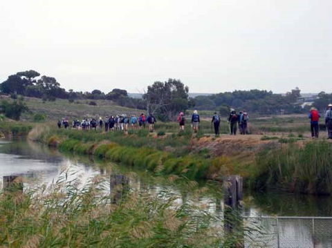 Lavender Federation Trail - C Tourism 2