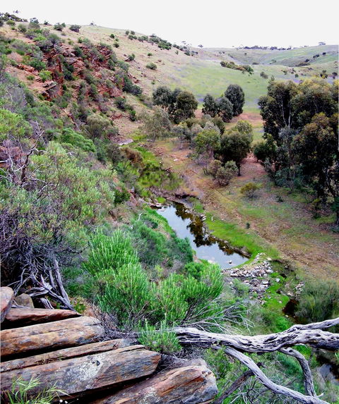 Lavender Federation Trail - C Tourism 3