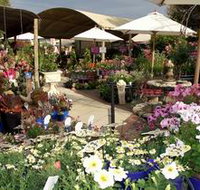 Serenity Nursery - C Tourism