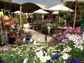 Serenity Nursery - C Tourism 0