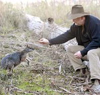 Sinclair's Gully - C Tourism