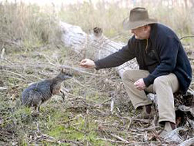 Sinclair's Gully - C Tourism 0