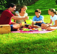 Bruny Island Berry Farm - C Tourism