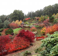 Emu Valley Rhododendron Garden - C Tourism
