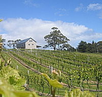 Bruny Island Premium Wines Bar and Grill - C Tourism