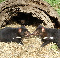 Wing's Wildlife Park - C Tourism