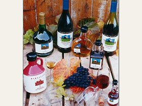 Hartzview Vineyard - C Tourism 0