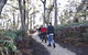 Bridport Walking Track - thumb 0